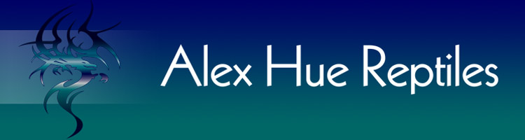 Alex Hue Reptiles